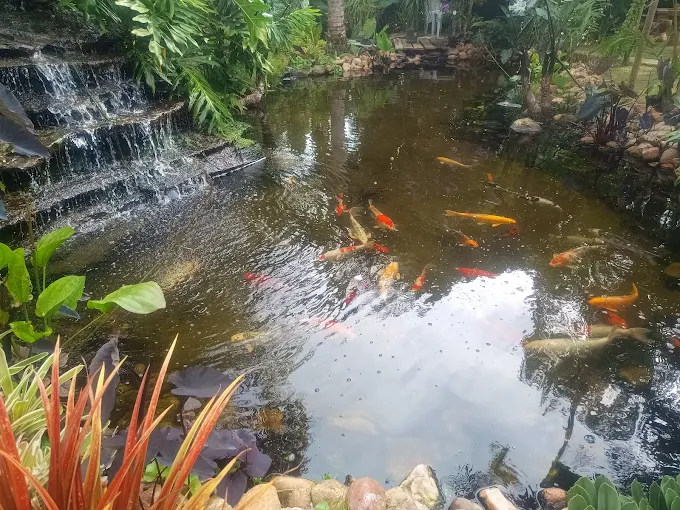 Villa Galicia Horto Restaurante