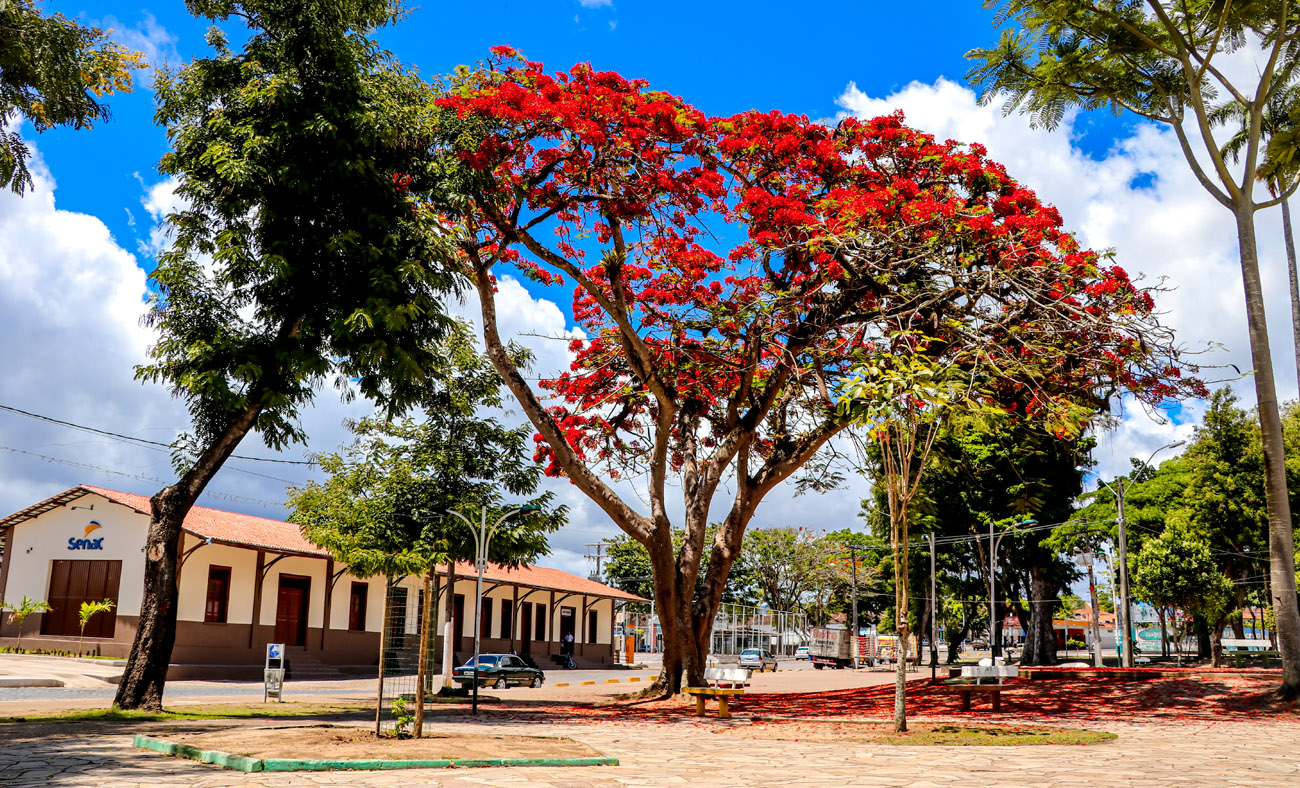 Pra&ccedil;a do Bosque
